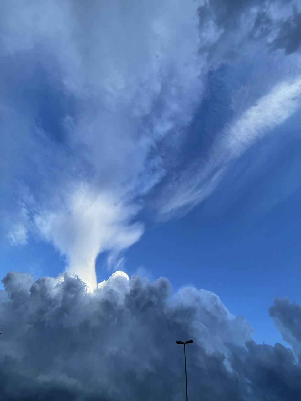 Sky1